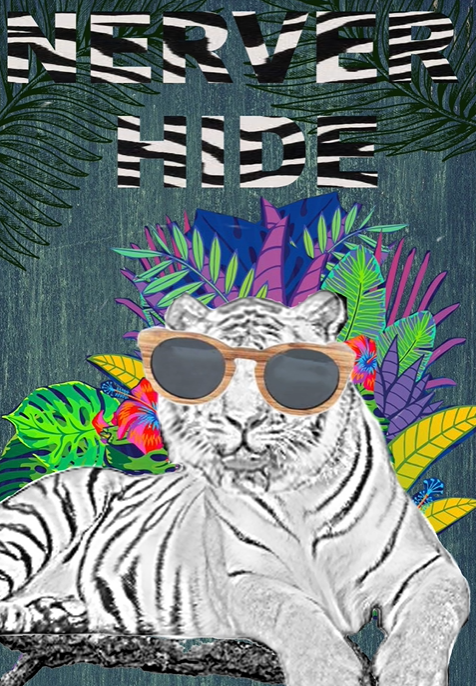 Nouvelle collection RayBan